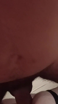 Porn Star Top5 Xhamster
