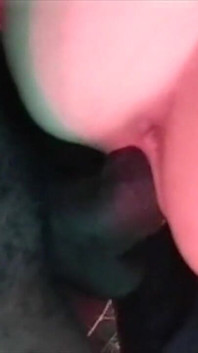 White and Black Fuck Her in the Stable