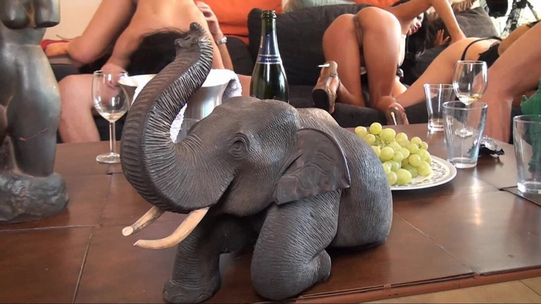 Orgsex: Skvělá šukací párty