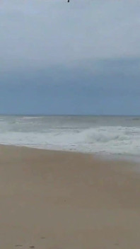 Cammina sulla spiaggia in encimtri, un idiota, e guarda cosa ha dato