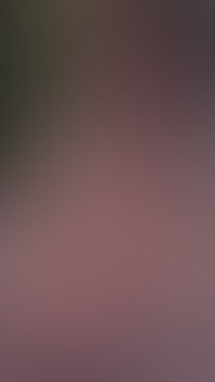 Merry Christmas to All