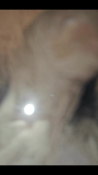 749771317682647040.mp4