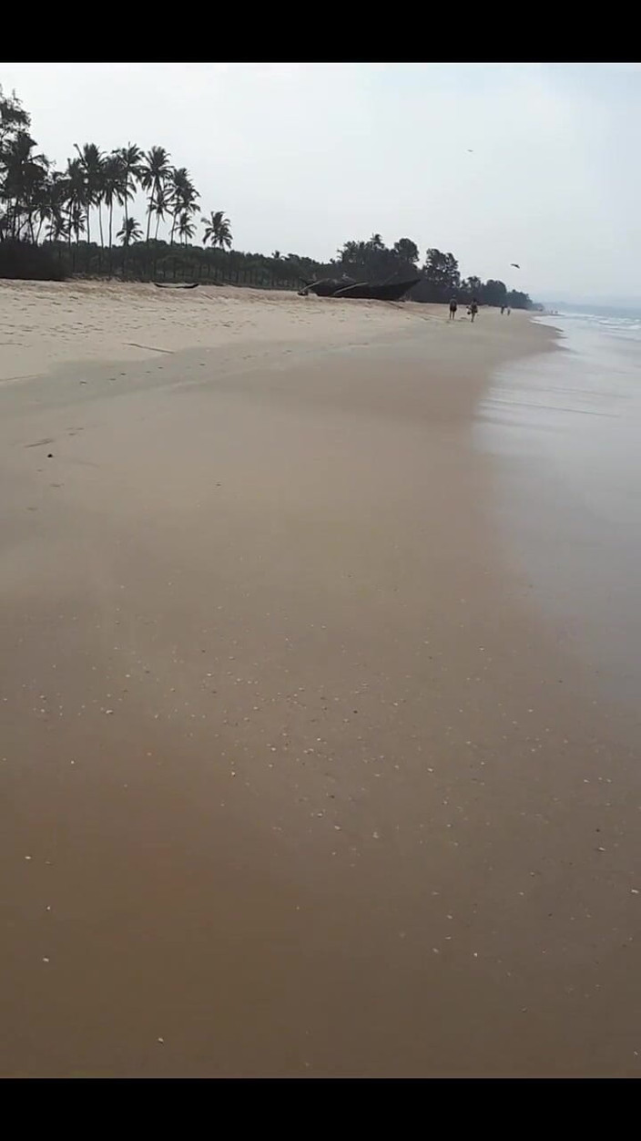 FrauleinP: 571333286618476544