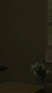 Chiharu Wakasugi - First-time Fifty-something Wife Creampie