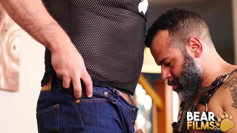 Bear Films: BEARFILMS - L'ours Sterling Johnson insémine le gros Kurt Jacobs