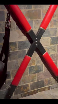 The Sex Dungeon