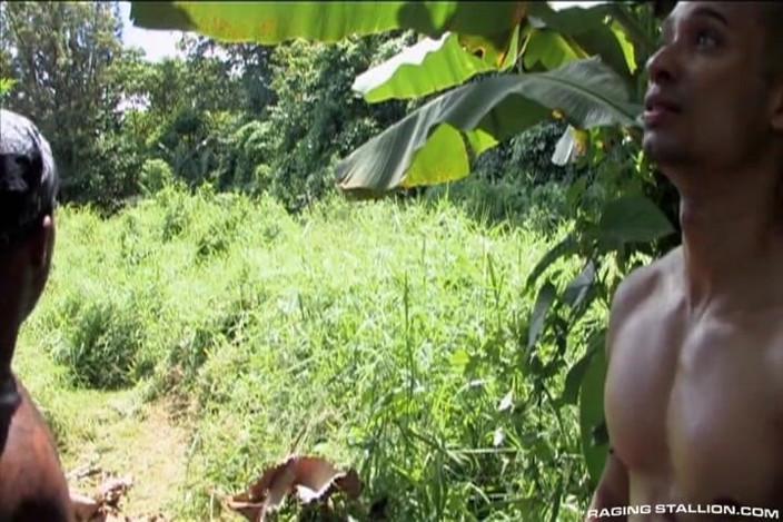 Raging Stallion: Lords of the Jungle