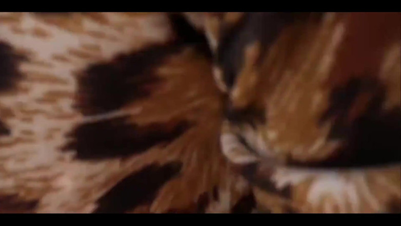 Anonymous Vlogger: Làm tình trên núi - làm tình thực sự