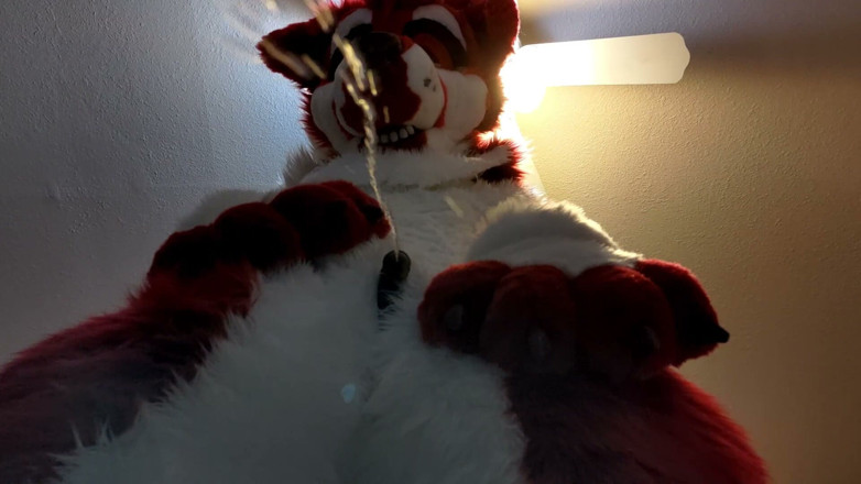 PawgrammerSocks: Furry in Full-body Fursuit Pisses on You, Then Cums Over...