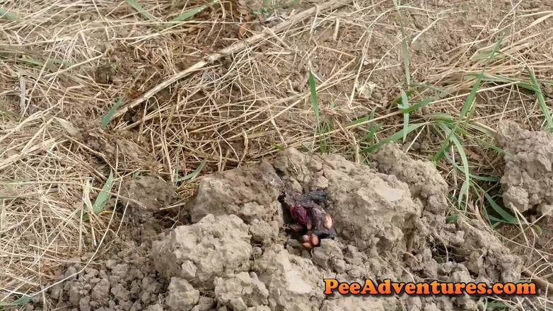 Pee Adventures: Auf eine riesige ameisenmuskel pissen und ihre nassen kleidung im...