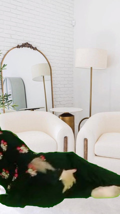 TestyFoundation: Libanon Hijab stiefzus orgasme