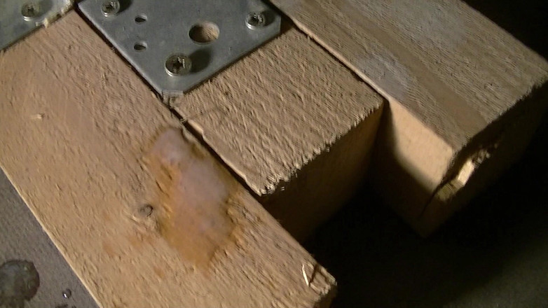 Mark Hannes: Vibrator dan stimulasi elektro melancap