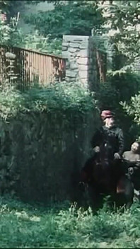 Mistři skutečných kohoutů