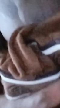 Fuck in Bedroom