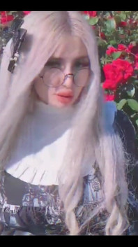 What Types of Flowers Do You Particularly Like?