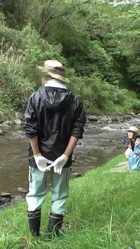 Video von Sonnenschönheiten im freien, vom Campingplatz-Manager genommen