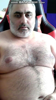 Solo Bear