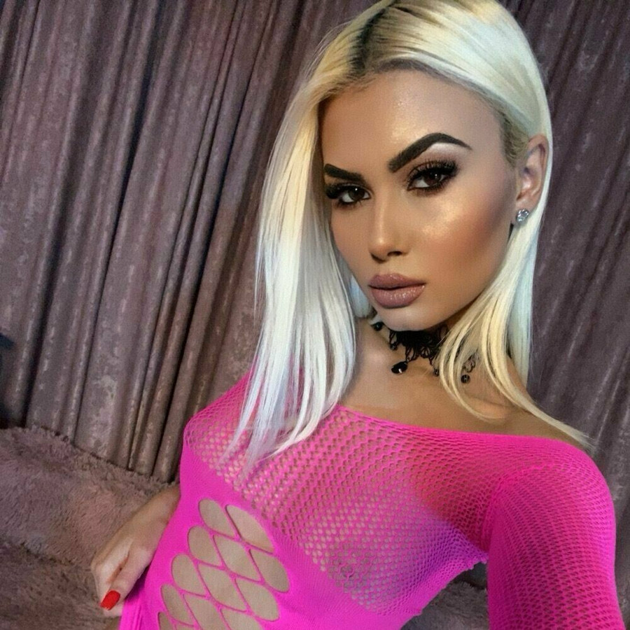 Faphouse