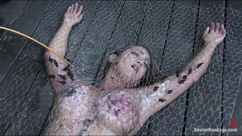 Device Bondage by Kink: Penned in