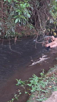 L'incontro tra sconosciuti al creek termina in un sesso inaspettato