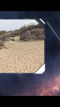 Corabitch dans les dunes de Maspalomas 1