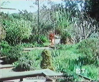 Euro Blue Movies: 흑형 대물 에게 따먹히는 거유 밀프