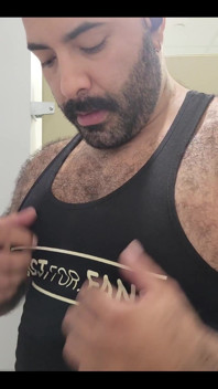 Solo Bear
