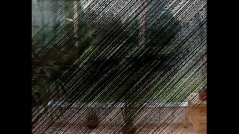 MUSCHI TV - our best full movie: Din kuk tillhör mig