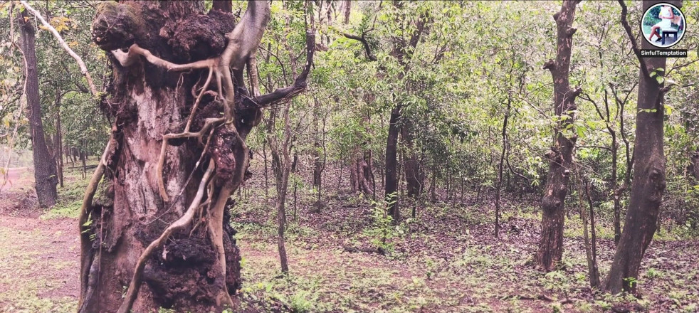 Ziya: Jungle naakt, masturberen, spuiten