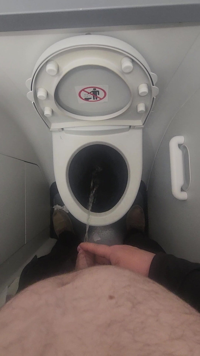 Djk31314: Airplane Bathroom Jerk and Cum.