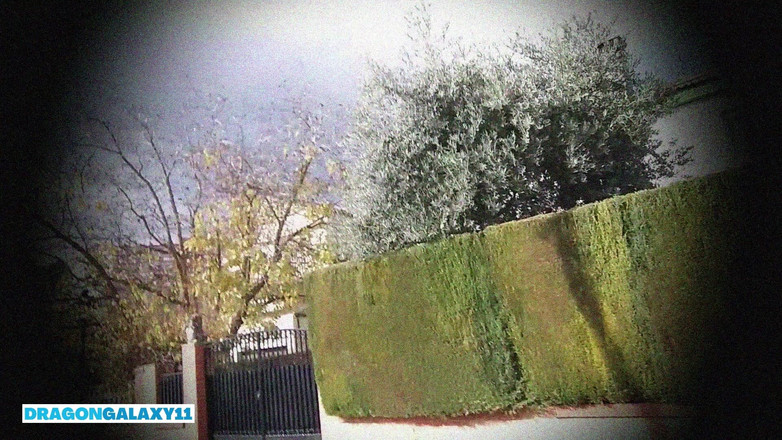 DragonGalaxy11: My Stepsister and I Doing Dirty Things on the Street...