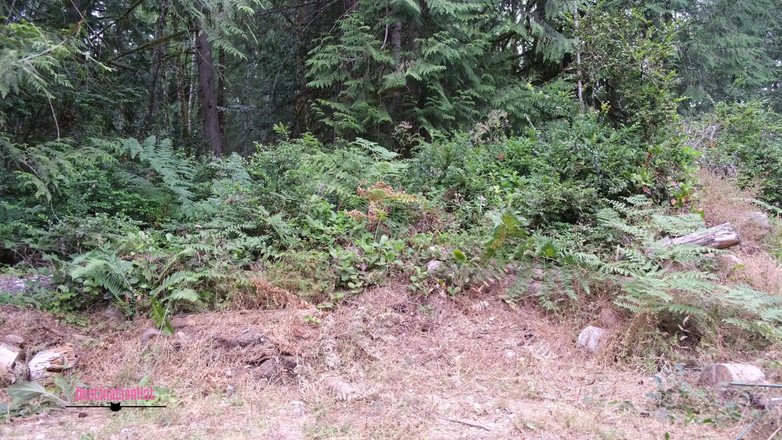 Destination Kat: Muitos xixi xixi comp