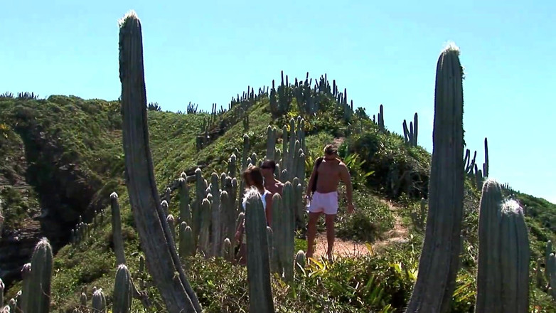 MMV BEST MOVIES AND CLIPS: 日焼けした日焼けしたセックスと熱い屋外セックス