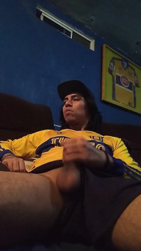 Monstro pau
