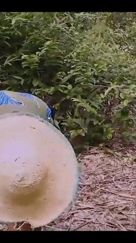 Seks tegar dengan isteri tuan rumah ketagih seks