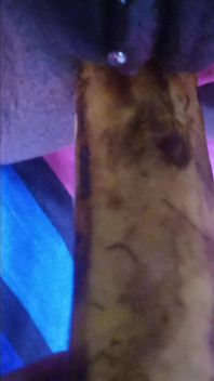 Fucking My Black Hairy Pussy with a Banana Load Moaning Orgasms