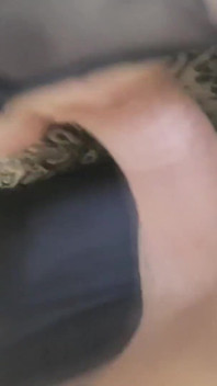 Üvey kız kardeşimin seksi - edepsiz konuşma