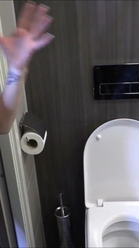 Flushing the toilet pervert