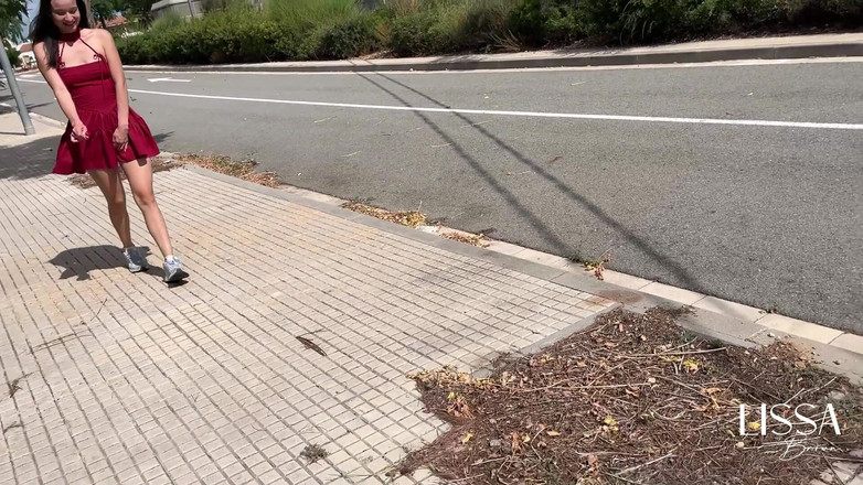 Lissa Brown: Aşırı halka açık titreşimler - tren - açık havada - oyuncak