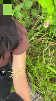 Cum Swallow in Public.