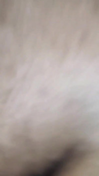 If You Have Such a Sexy Girlfriend, Fuck Her Too. Fucked Her Girlfriend and Made It Viral. Bangla X Video