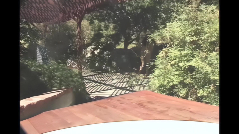 Old PIGS XXX: Těhotná má pouze sex