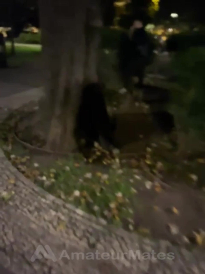AmateurMates: Ragazzo Amatoriale Sorpreso a Pisciare in Un Parco E Mi È...