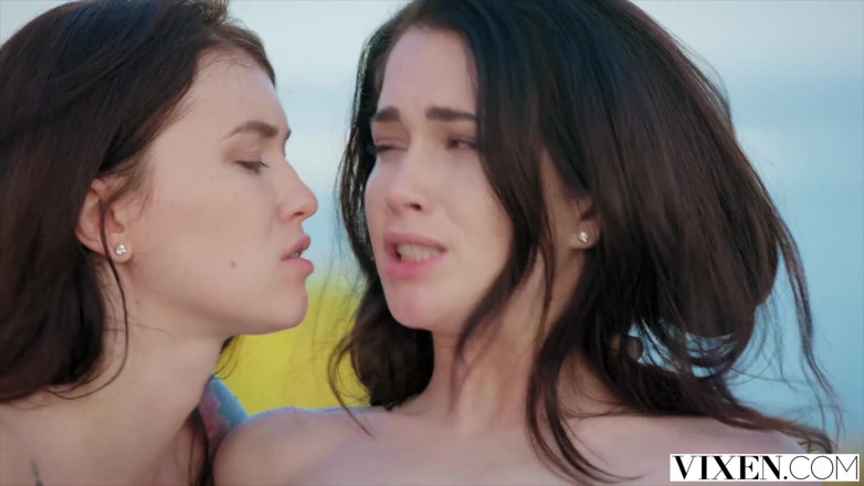 Vixen: Vixen Yeni İnsanlarla Buluşuyor