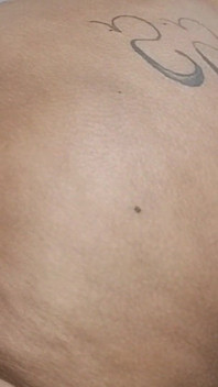 Maigre Arrogant Mangeant du BBW