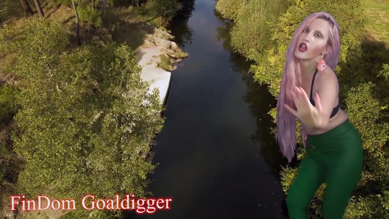 FinDom Goaldigger: 感受树的性能量