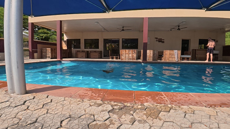 Black Swan: Nauwelijks gedragen bij het zwembad