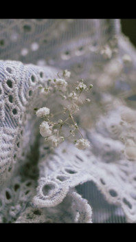 Pizzo Femminile E Delicato