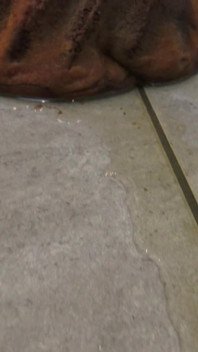 Nasty Pissing Bitch