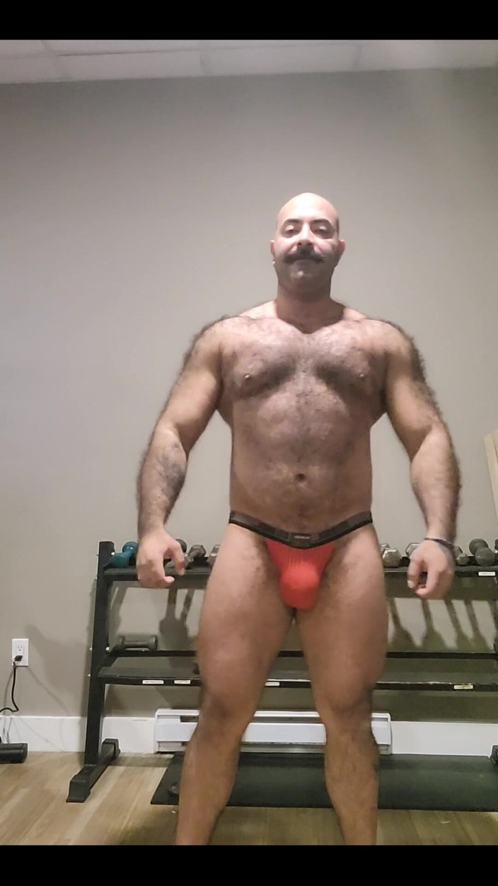 Lobo: Creiste que no me perdería el Flex Friday, ¿verdad?